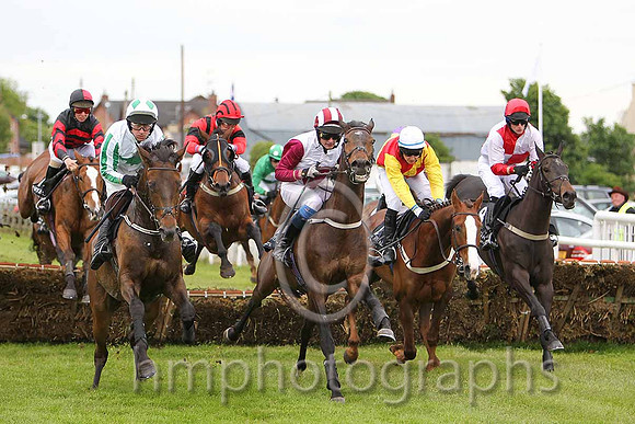 R1 - Along Came Polly 5th, Qui Est Thou 6th, Venture Wild 11th, Jack Apple 3rd, Niamh's Flyer Fell, Bachelor Lad 4th, KIngs Cashel PU - CU2D9847-e