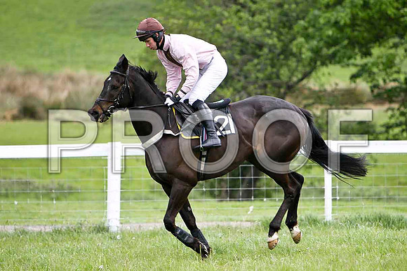 Obispo , 4th, Jockey S F Magee - FT8E2382-e