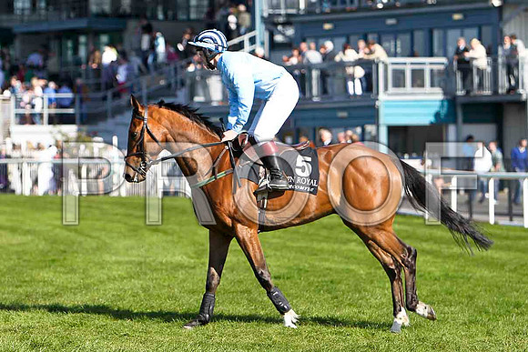 Liscarney House - 12th, Jockey Mr R Guiney - FT8E2241-e