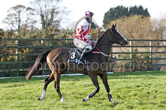 Kalann 2nd , Jockey M Darcy - FT8E6508-e