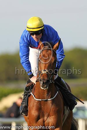 PU Gladiatorial and D. McGill(7) (5 ,blue, red star ), Trainer:Noel C. Kelly , Owner:William M. Brown