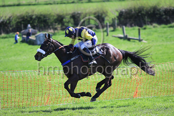 01st SHANROE AL C and J C Barry ( 7 , DARK BLUE,yellow hollow box; dark blue  yellow hlvd sleeves; dark blue cap,yellow diamond ) Trainer: Karl Thornton , Owner : Brian Smyth