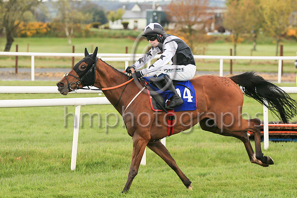 01st Don Diablo and J C Gainford4 ( 14 , blac, white cross sash ) Trainer - Mrs D Foster , Owner - KTDA Racing