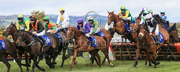 01st Shantou Lucky and Reserve 2 ( 21 , green, red star ) Trainer - G P Cromwell , Owner - Lucky Seven Syndicate