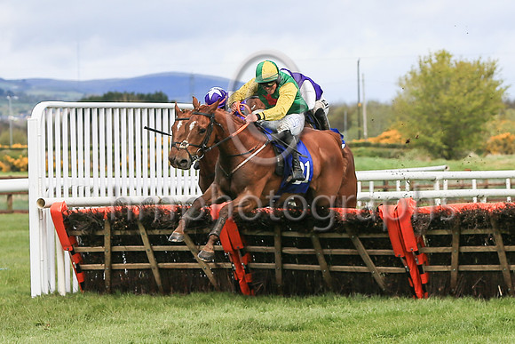 01st Shantou Lucky and Reserve 2 ( 21 , green, red star ) Trainer - G P Cromwell , Owner - Lucky Seven Syndicate