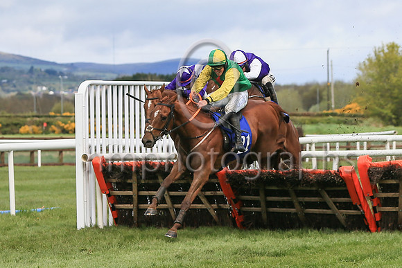 01st Shantou Lucky and Reserve 2 ( 21 , green, red star ) Trainer - G P Cromwell , Owner - Lucky Seven Syndicate