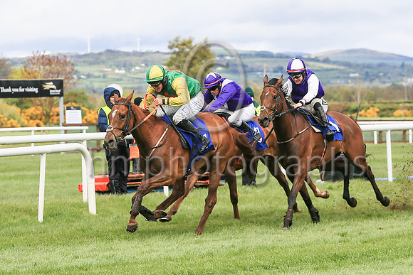 01st Shantou Lucky and Reserve 2 ( 21 , green, red star ) Trainer - G P Cromwell , Owner - Lucky Seven Syndicate