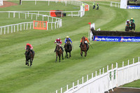2021-05-03rd Down Royal Winners (8/23)