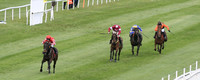 2021-05-03rd Down Royal Winners (8/23)