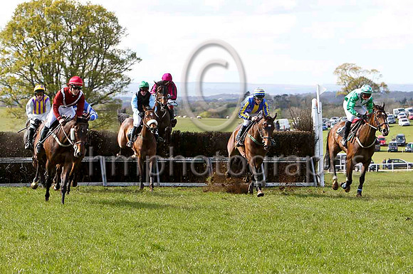Knockans Breeze (7 red white cross belts) & J A Sloan - 2nd   & Little Luv (8 green white chevrons) & J J Codd - winnerFT8E2363-e