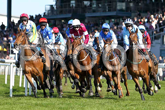 Watchmetail - 4th, Jockey Mr J T Carroll in the lead - FT8E2255-e2
