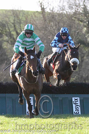 01 Rasco & R M Moran - winners (4, emerald green and white hoops)& 02 Royal Captain & D N Russell - 2nd (5, dark blue, light blue hoop) - FT8E1158-40