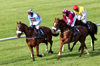 Soldier Bay in the lead , Jockey A E Lynch - 5th- FT8E3816-e