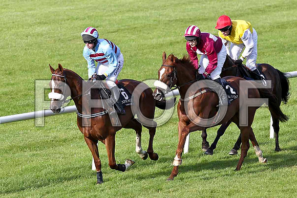 Soldier Bay in the lead , Jockey A E Lynch - 5th- FT8E3816-e