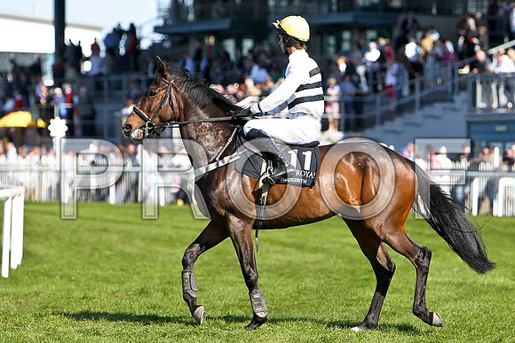 Macks Mist - S - Jockey Mr S F Magee - FT8E2245-e