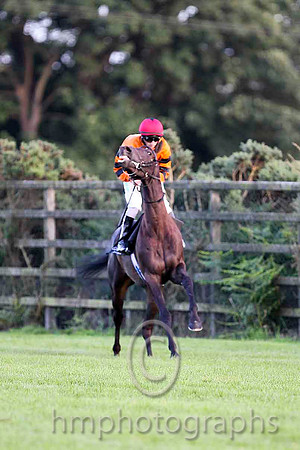 Windsor Pride & C D Hayes - Winner (12, Orange, Black star) - CU2D3377-e