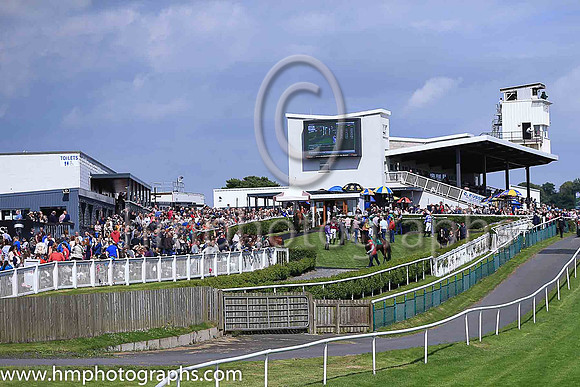 Parade Ring at Downpatrick on Family Day