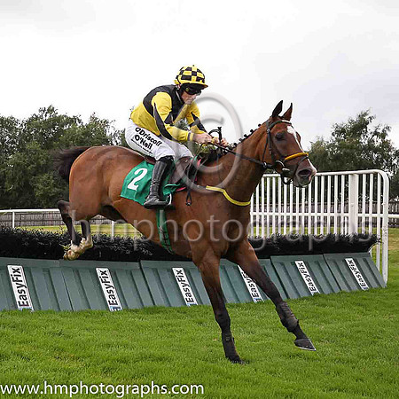 01st Mr Showtime and Sean Flanagan (2, black and yellow qtrd) Trainer: Noel Meade, Owner: Crooked Crow Symdicate