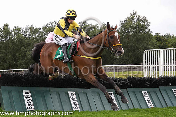 01st Mr Showtime and Sean Flanagan (2, black and yellow qtrd) Trainer: Noel Meade, Owner: Crooked Crow Symdicate