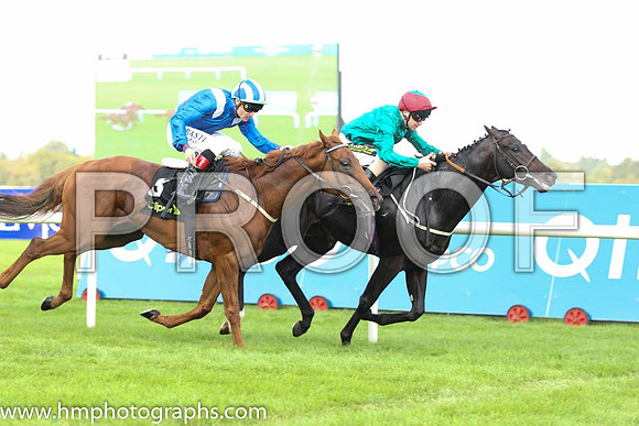 01 Bow Creek and J Fanning - - 01st (6 ,dark green, red cap ) Trainer - M Johnson