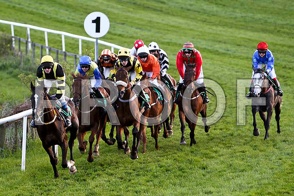 Henry The First, 3rd , Jockey - Mr J T Carroll in the lead - FT8E3258-e2