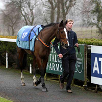 Connie De Mar - Jockey Mr R M Johnston - 16th - CU2D1755-e