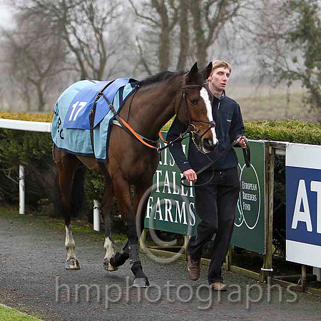 Connie De Mar - Jockey Mr R M Johnston - 16th - CU2D1755-e