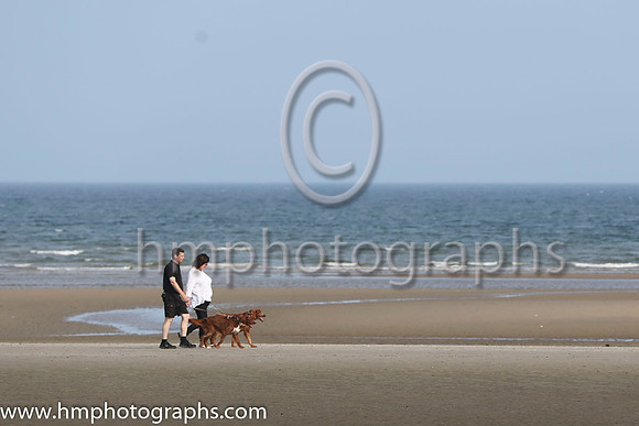 Laytown Races -AA1V3028