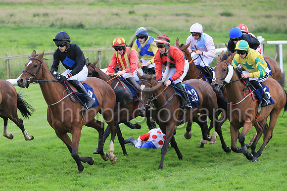 ur Porky Rush (9 , white, red spots ) Jockey: Mr J P Kirwan7 , Trainer: Ms M Flynn
