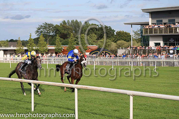 01st Lisard Lady  Wayne Lordan (13, royal blue, yellow hoop) Trainer Thomas Cooper, Owner Thomas Cooper