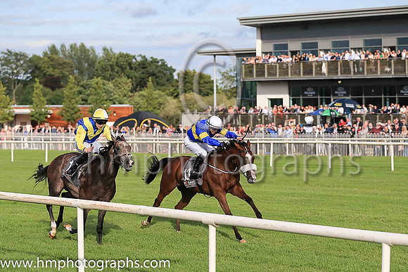 01st Lisard Lady  Wayne Lordan (13, royal blue, yellow hoop) Trainer Thomas Cooper, Owner Thomas Cooper