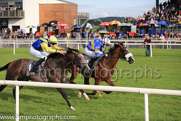 01st Lisard Lady  Wayne Lordan (13, royal blue, yellow hoop) Trainer Thomas Cooper, Owner Thomas Cooper