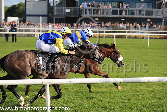 01st Lisard Lady  Wayne Lordan (13, royal blue, yellow hoop) Trainer Thomas Cooper, Owner Thomas Cooper