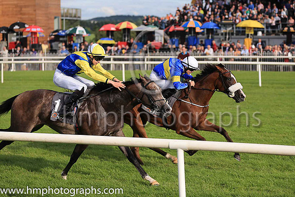 02nd Darkolva  Donnacha O'Brien (1, royal blue, yellow chevron) Trainer Joseph Patrick O'Brien, Owner J Carthy