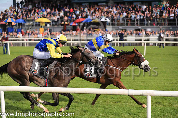01st Lisard Lady  Wayne Lordan (13, royal blue, yellow hoop) Trainer Thomas Cooper, Owner Thomas Cooper
