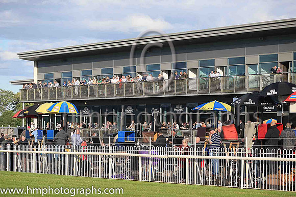 Spectators enjoy the sunshine at Down Royal at Magners Race Evening
