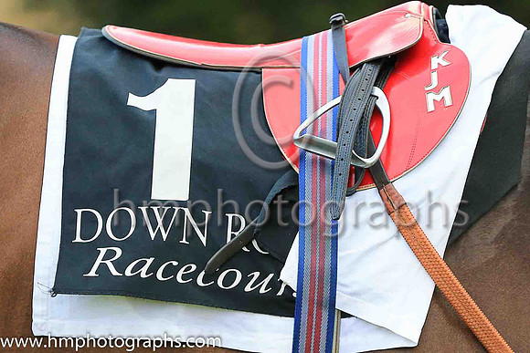 Kevin Manning's saddle at Down Royal in Her Majesty's Plate Stakes
