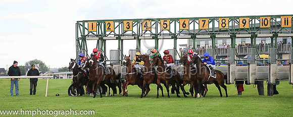start of Her Mahesty's Plate Stakes at Down Royal