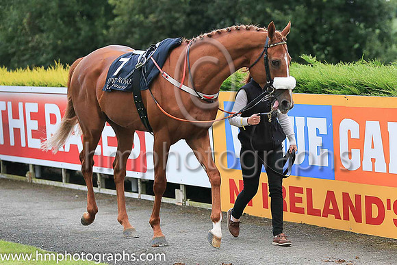 01st The Tartan Spartan  Ronan Whelan (7, black, red epaulettes) Trainer John Patrick Shanahan, Owner Thistle Bloodstock Limited