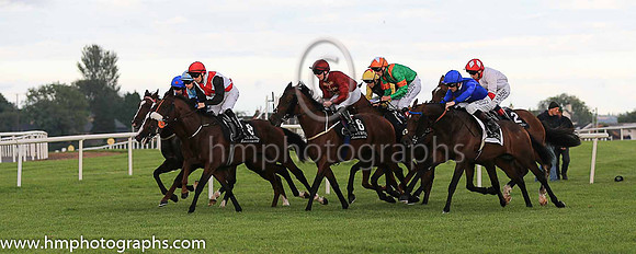 Start of Her Majesty's Plate stakes at Down Royal
