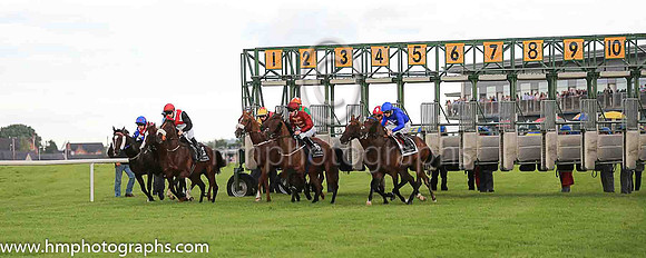 Start of Her Majesty's Plate Stakes at Down Royal