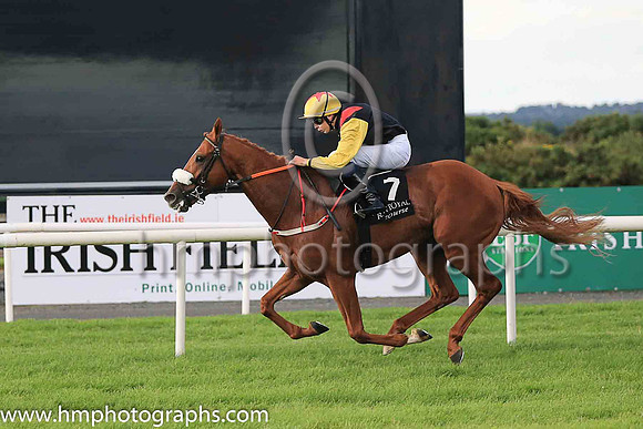01st The Tartan Spartan  Ronan Whelan (7, black, red epaulettes) Trainer John Patrick Shanahan, Owner Thistle Bloodstock Limited