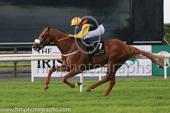 01st The Tartan Spartan  Ronan Whelan (7, black, red epaulettes) Trainer John Patrick Shanahan, Owner Thistle Bloodstock Limited