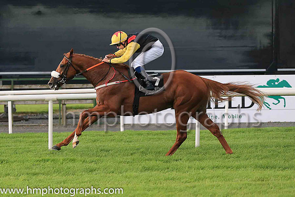 01st The Tartan Spartan  Ronan Whelan (7, black, red epaulettes) Trainer John Patrick Shanahan, Owner Thistle Bloodstock Limited