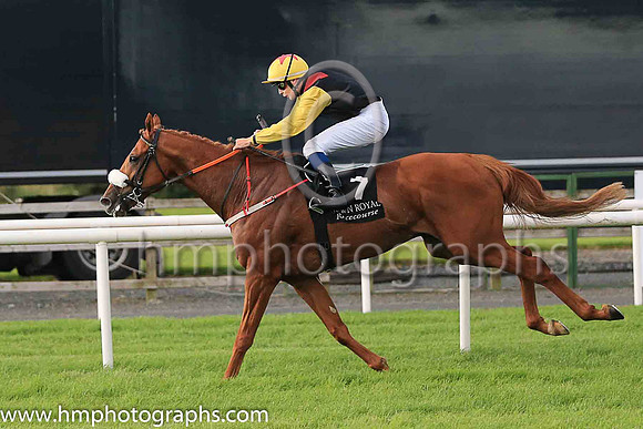 01st The Tartan Spartan  Ronan Whelan (7, black, red epaulettes) Trainer John Patrick Shanahan, Owner Thistle Bloodstock Limited