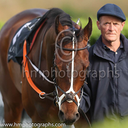 01st Mr Michael  Shane Foley (6, light blue, black stars) trainer Adrian Brendan Joyce, Owner Mrs Christina Joyce