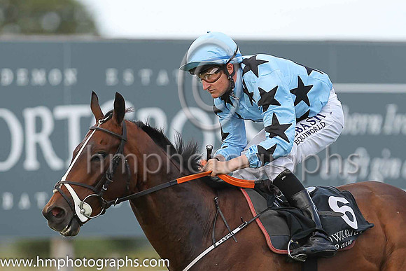 01st Mr Michael  Shane Foley (6, light blue, black stars) trainer Adrian Brendan Joyce, Owner Mrs Christina Joyce