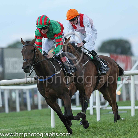 01st Boom Or Bush  Pat Smullen (7, emerald green and red qtrd) Trainer H Rogers, Owner Brian Mellon and P McBride