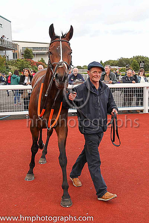 01st Mr Michael  Shane Foley (6, light blue, black stars) trainer Adrian Brendan Joyce, Owner Mrs Christina Joyce