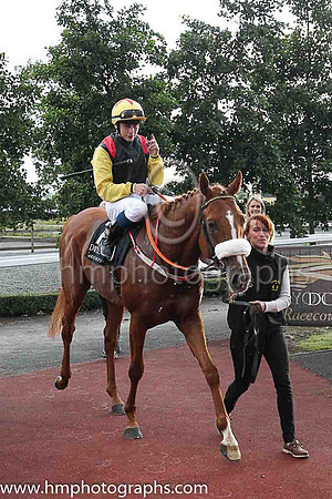 01st The Tartan Spartan  Ronan Whelan (7, black, red epaulettes) Trainer John Patrick Shanahan, Owner Thistle Bloodstock Limited